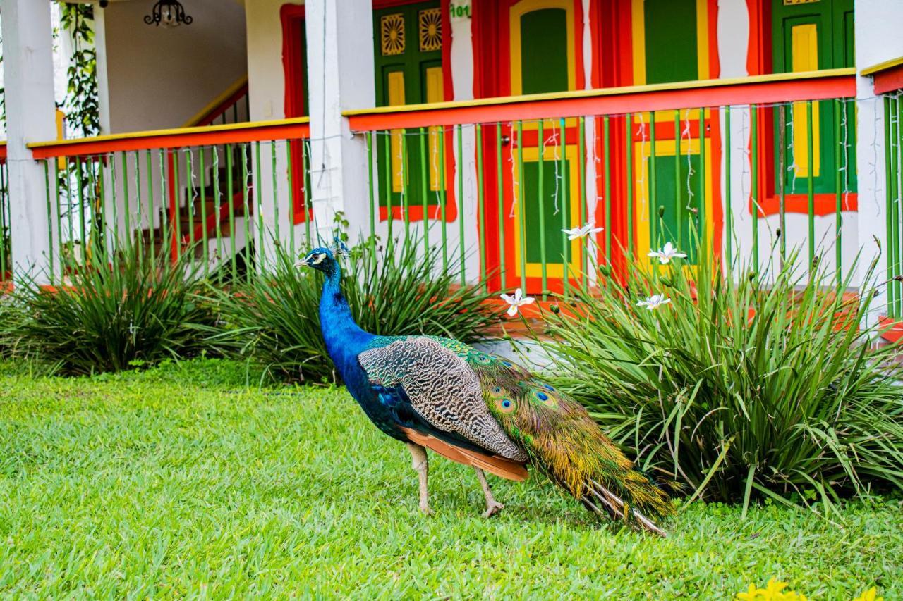 Hotel Campestre Cafe Cafe Montenegro Luaran gambar